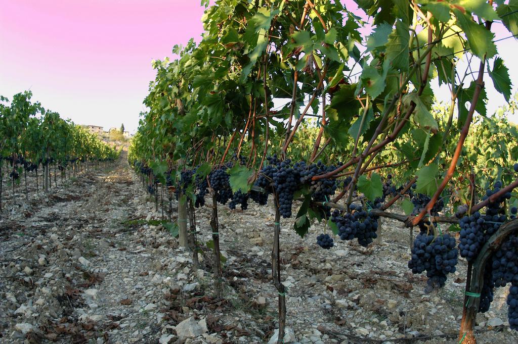 Pensjonat Collelungo Castellina in Chianti Zewnętrze zdjęcie
